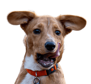 Entspannte
Atmosphäre